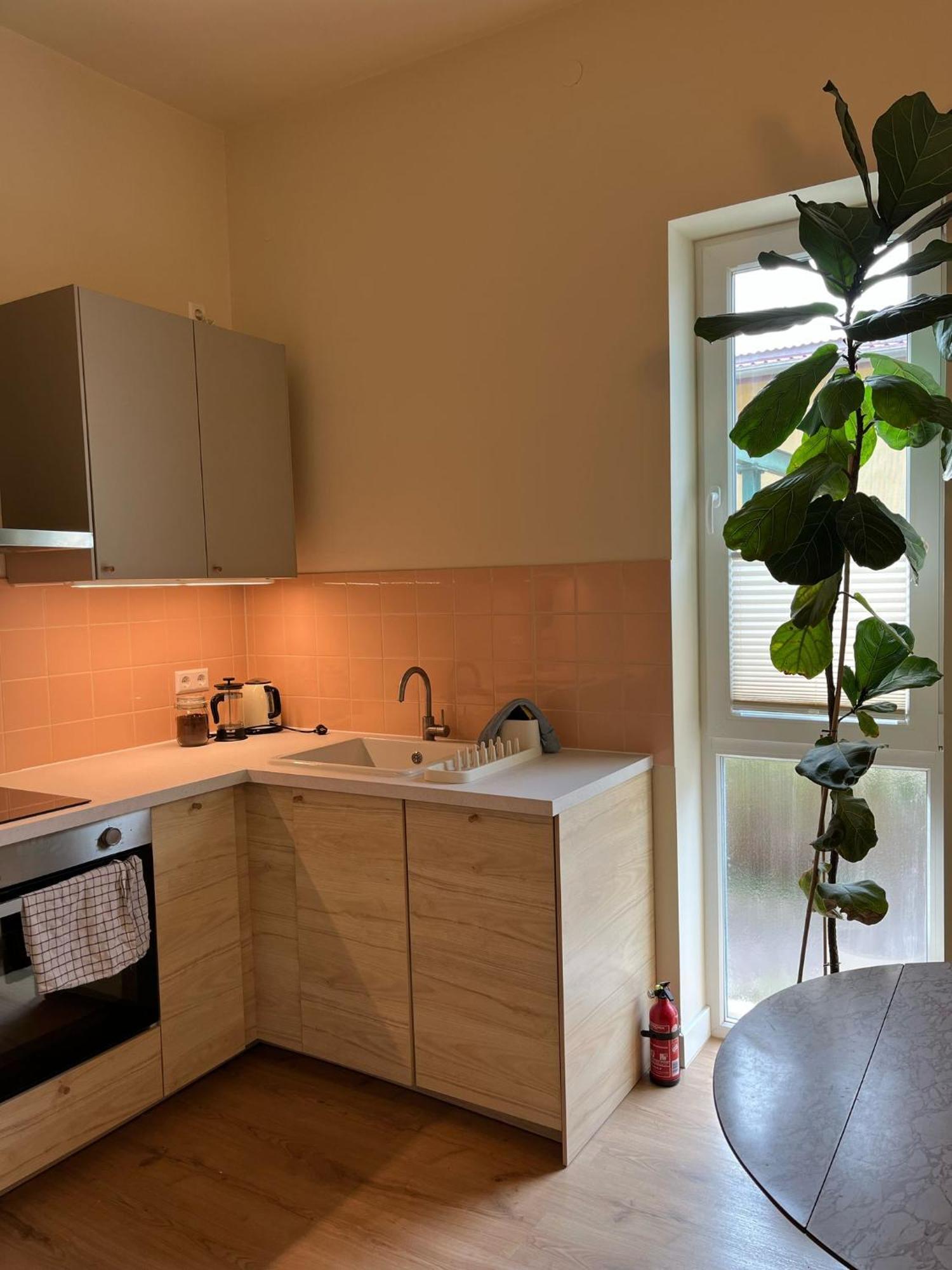 Guesthouse With 3 Apartments, Just Outside Berlin, Near To Tesla Burig Εξωτερικό φωτογραφία